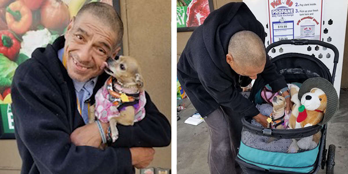 Homeless Man Receives A Very Special Stroller For His Chihuahua - The Dodo