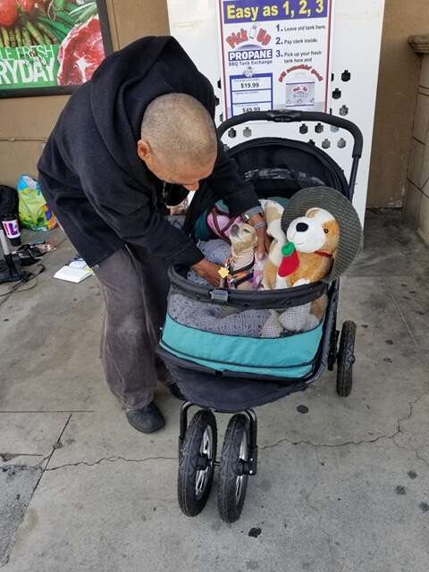 Man tucking dog into dog stroller