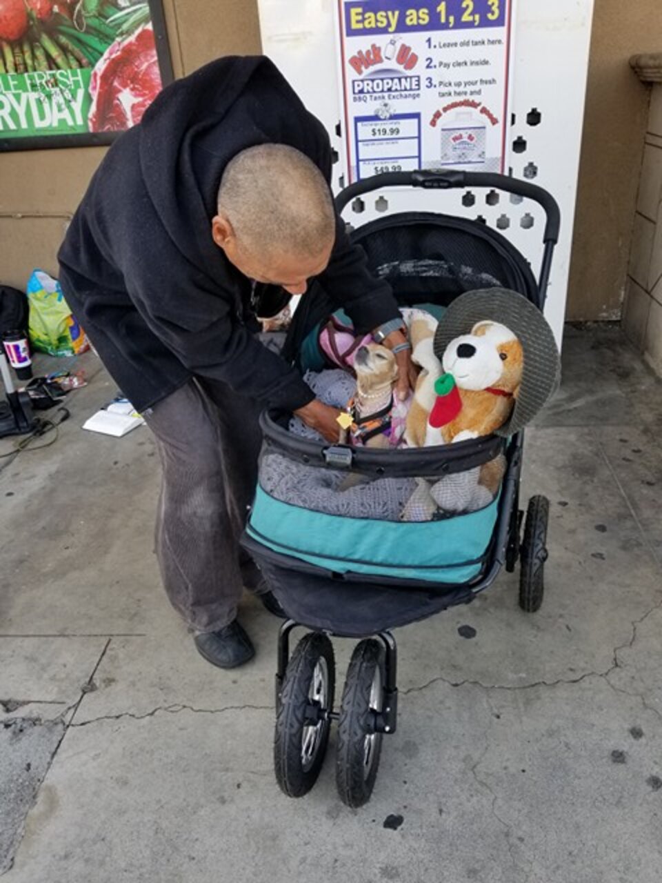 Homeless Man Receives A Very Special Stroller For His Chihuahua - The Dodo