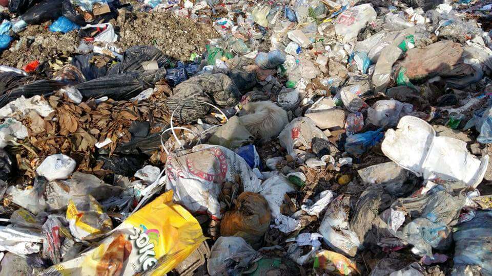 A dog sleeping in a pile of garbage at a landfill