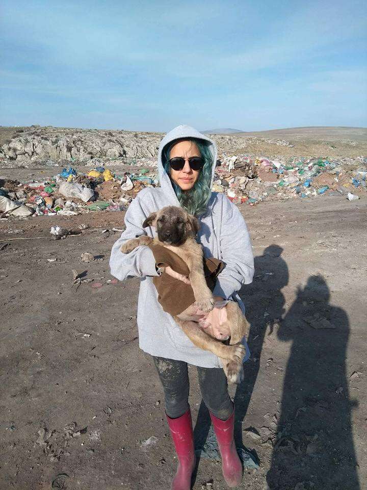 Woman holding homeless dog at landfill