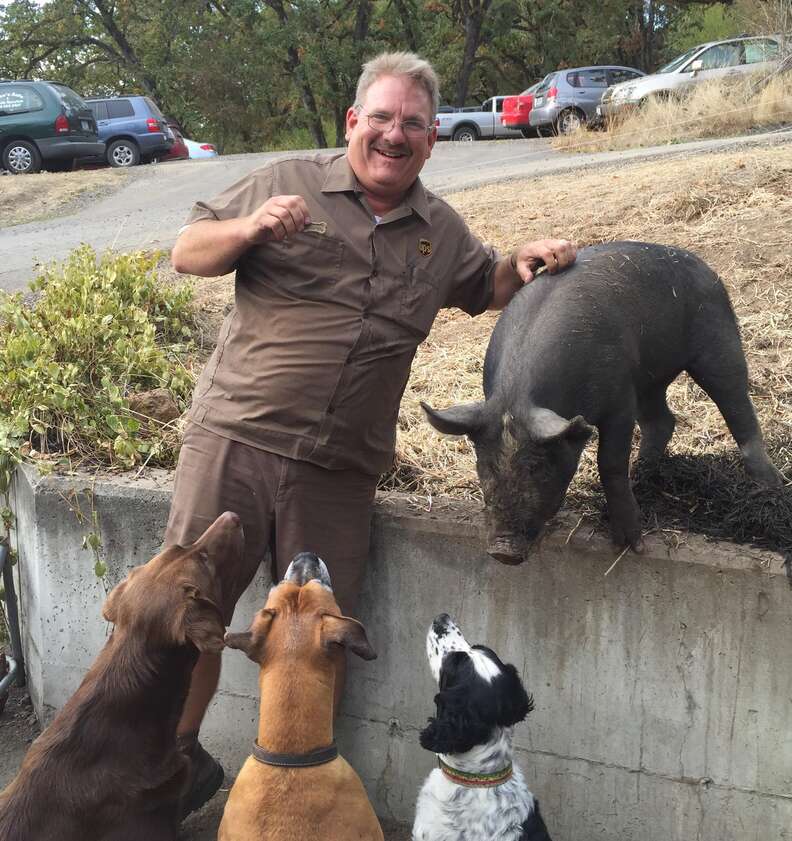 pig dogs oregon UPS driver