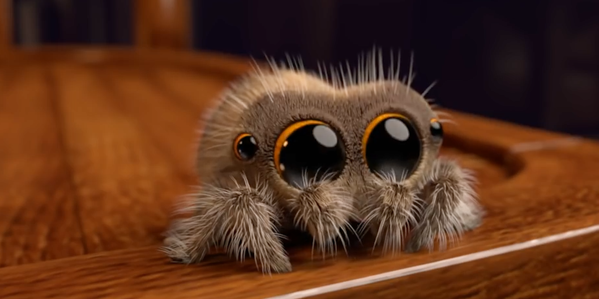This Guy's Making People Fall In Love With Spiders - Videos 