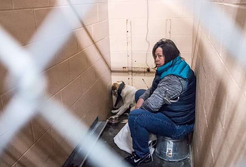 Woman trying to comfort scared shelter dog