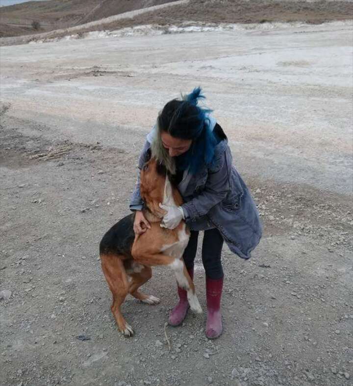 Woman hugging stray dog