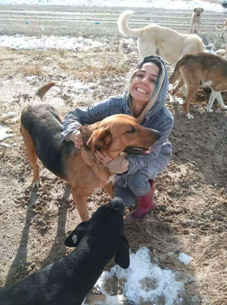 Stray Dog Rescued From Turkish Garbage Dump Has The Best Life Now