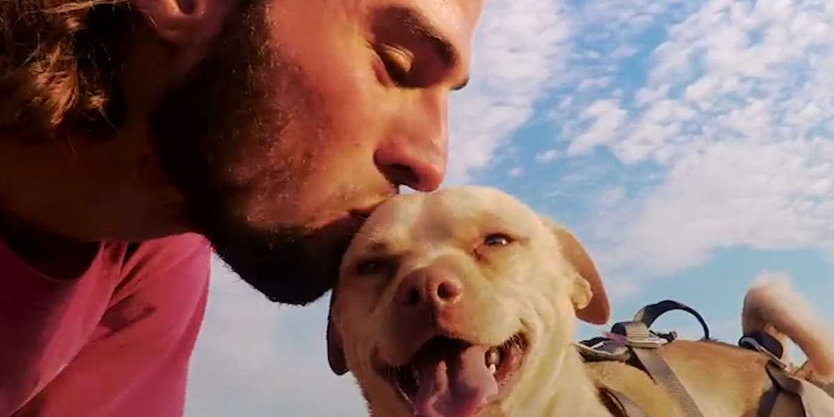 Rescue Dog Jumps Off Cliffs With His Dad Videos The Dodo