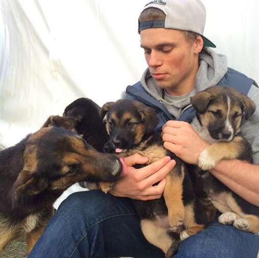 puppy rescue sochi olympics 