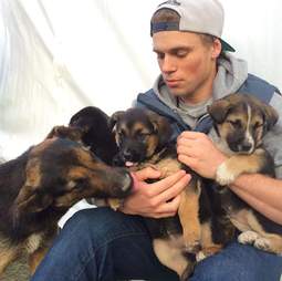 puppy rescue sochi olympics