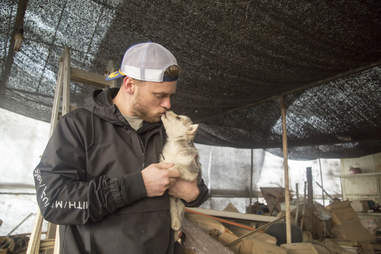 Man kissing rescued puppy