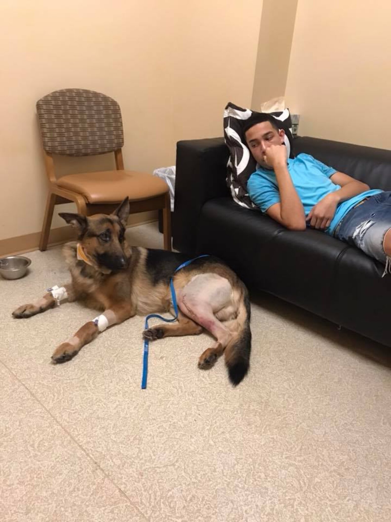 Полицейский с собакой. Немецкая овчарка и дети. Собаки которые защищают людей. Немецкий боксер на службе. Собаки которые защищают людей.