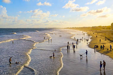 Lively Folly Beach