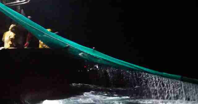 Net being pulled onto boat