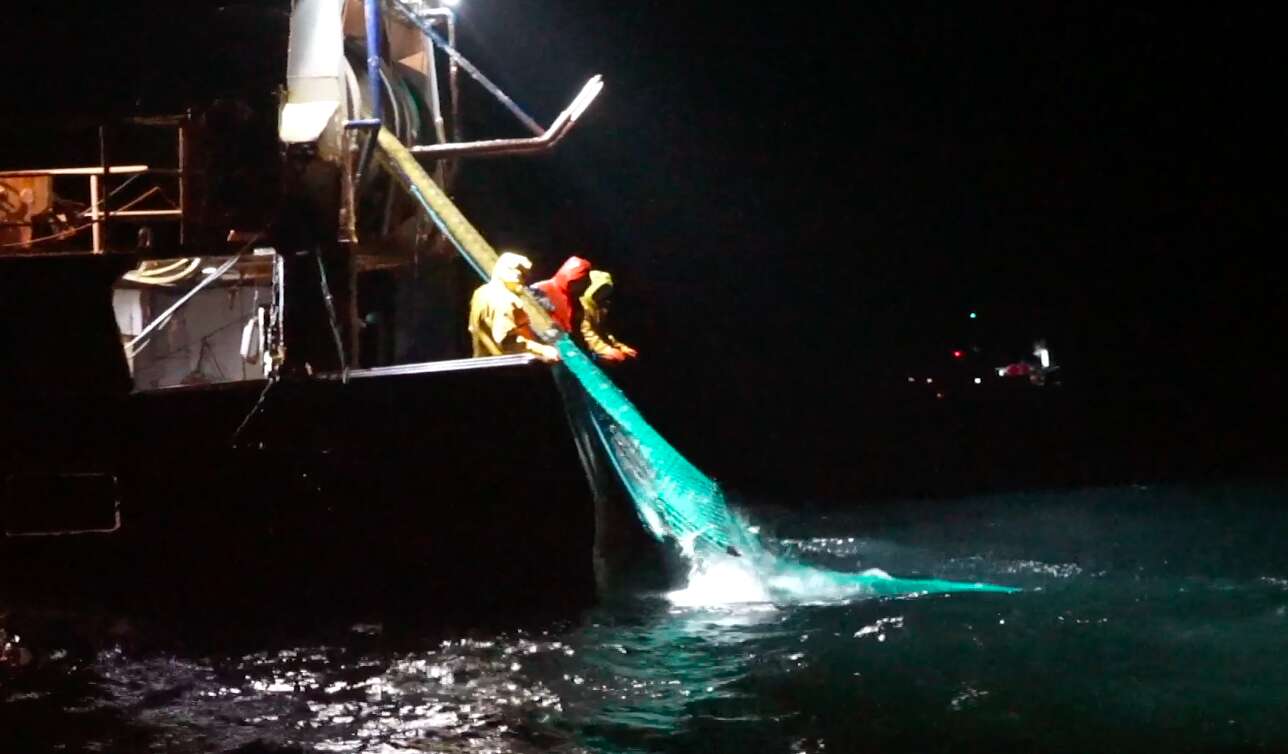 Fishermen pulling net onto a boat