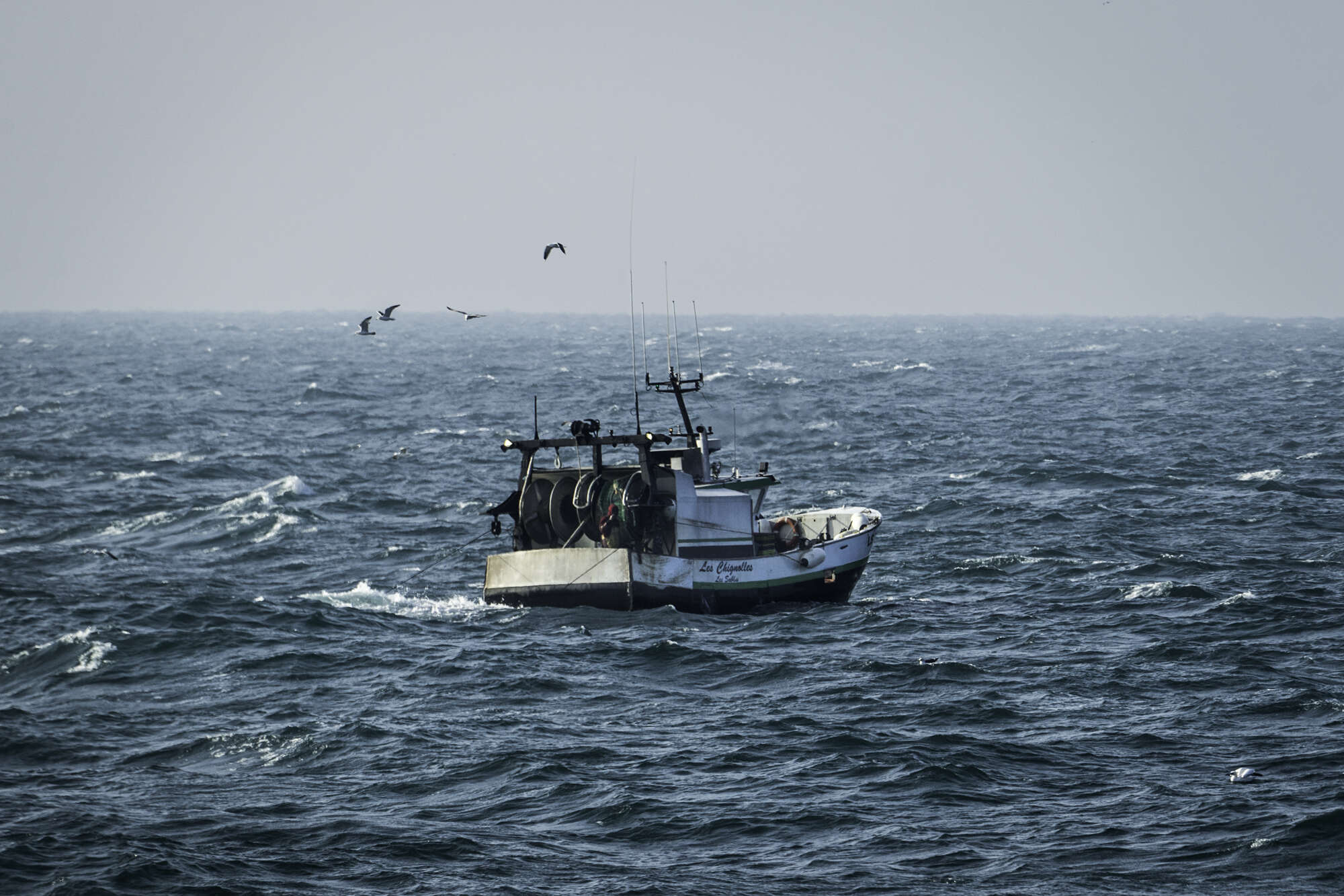 Fishing boat in the ocean