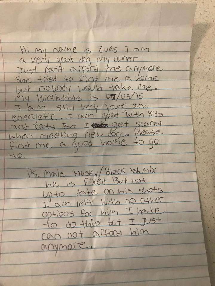 Letter attached to Zeus' collar