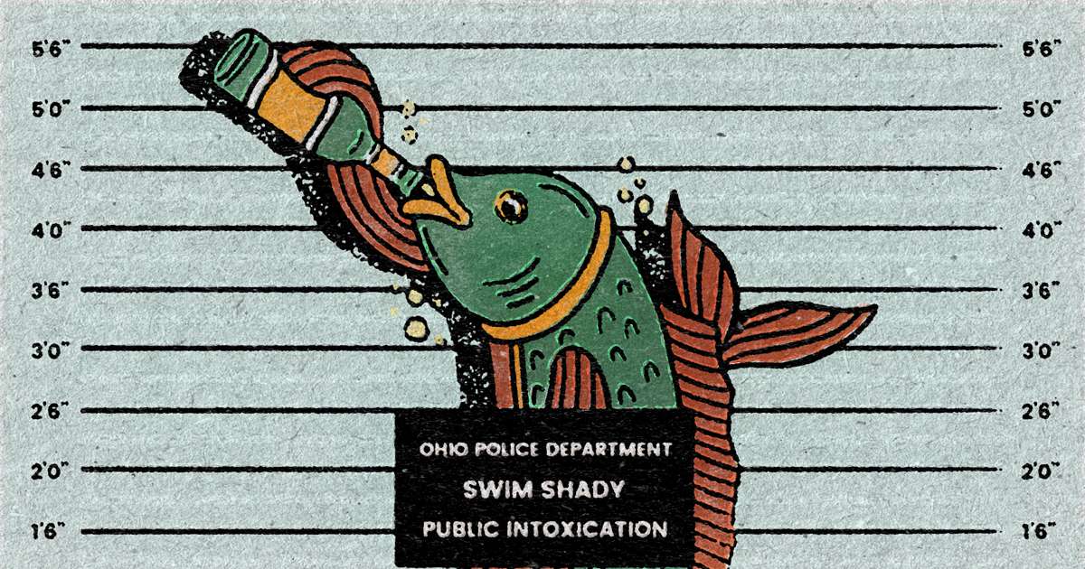 Why You Can’t Get a Fish Drunk Thrillist