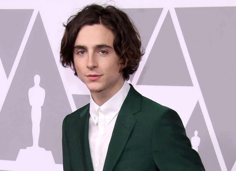 timothee chalamet oscars