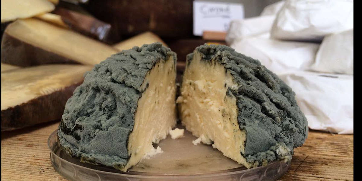 Blue Brain Cheese Is Hard To Get In The U.S. - Videos - NowThis