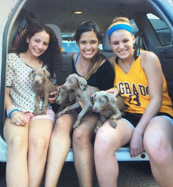 Female volunteers holding rescue dogs