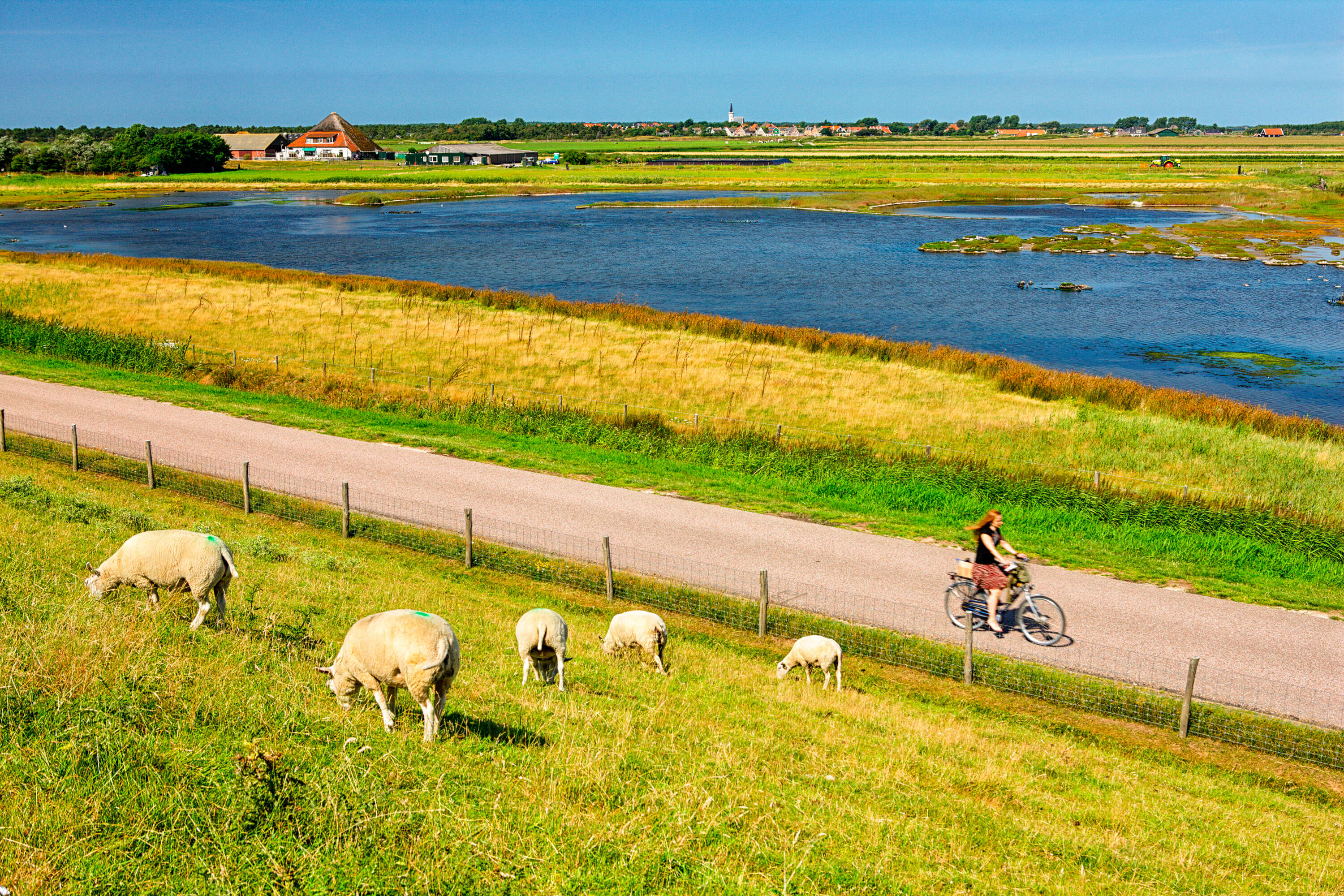 Texel Island