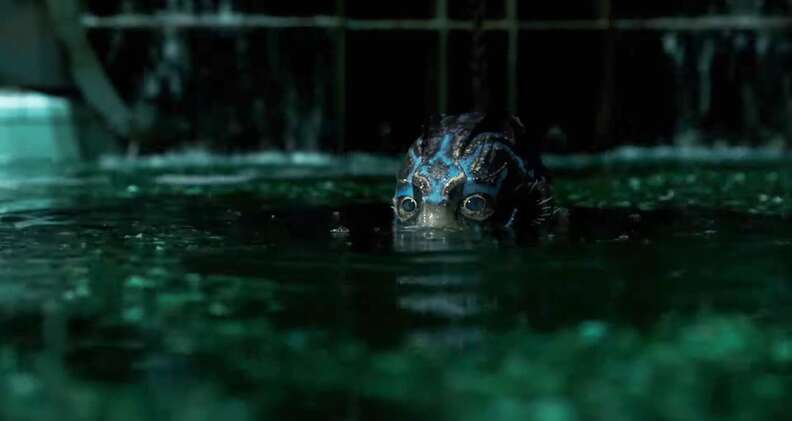 the shape of water