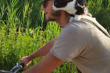 Mogli the cat on her owner's shoulders