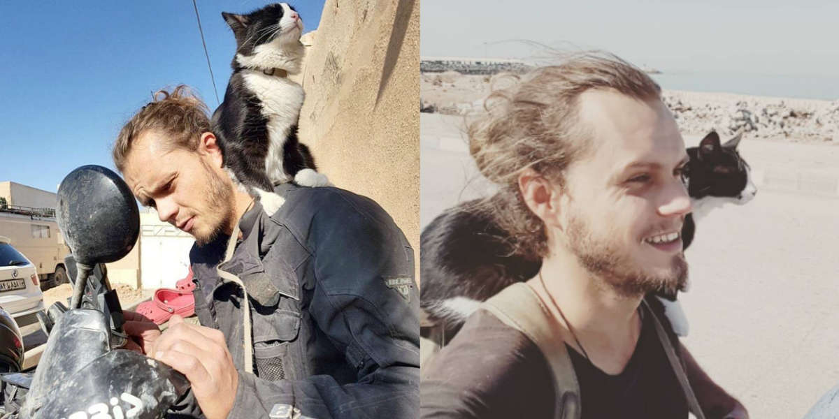 Man Adopts Stray Cat And Takes Her On An Epic Motorbike Road Trip - The ...