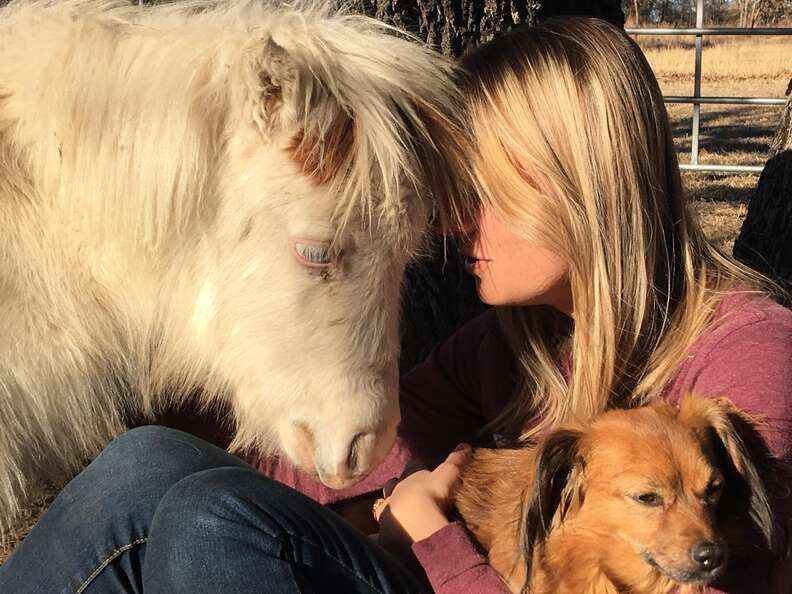 Mini horse snuggling up to rescuer