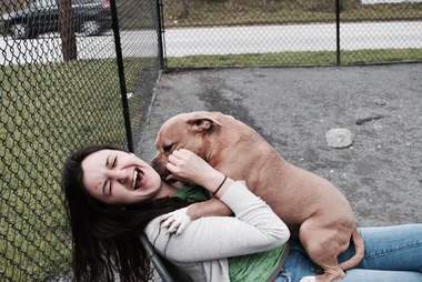 pit bull helena nice returned shelter