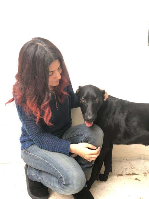 Woman petting rescued black dog