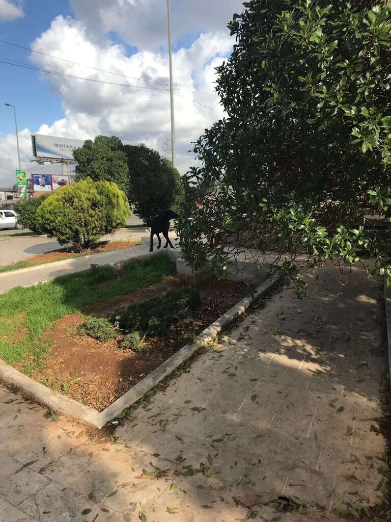 Garden block in Lebanese city
