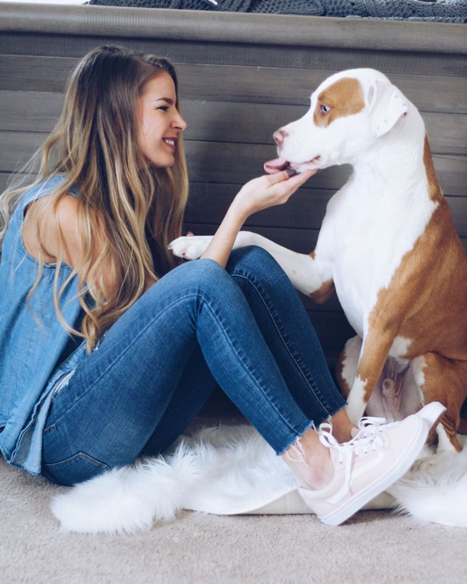 Пес и хозяйка. Девушка под собакой. Заказал девушку собаку. Пес великан макс. Красивые девушки с щенками.