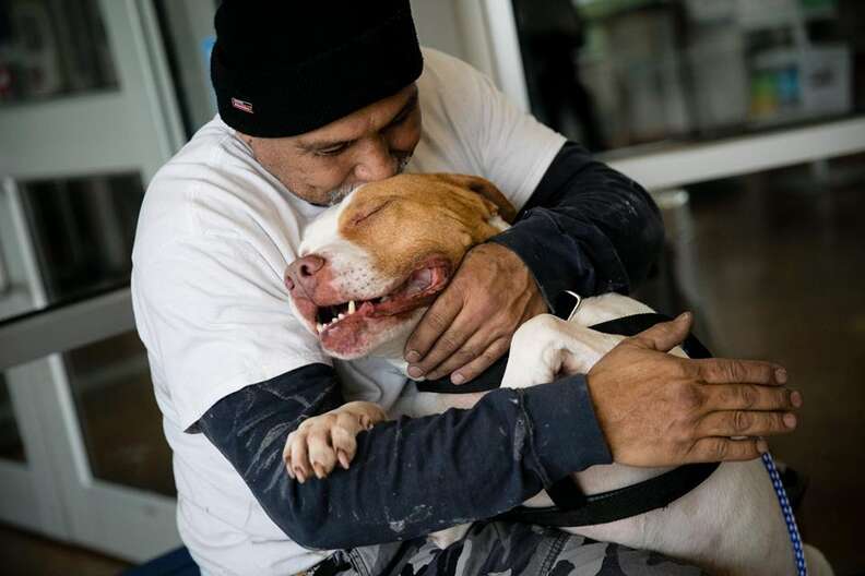 Man hugging pit bull dog