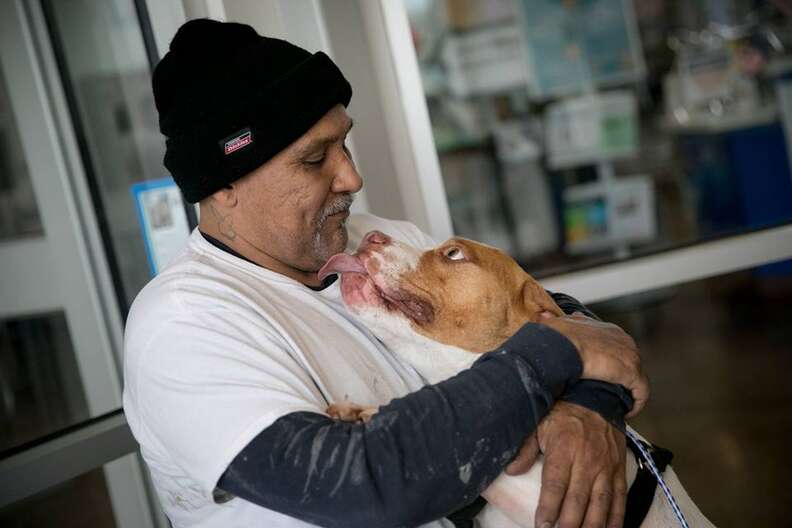 Dog licking face of man