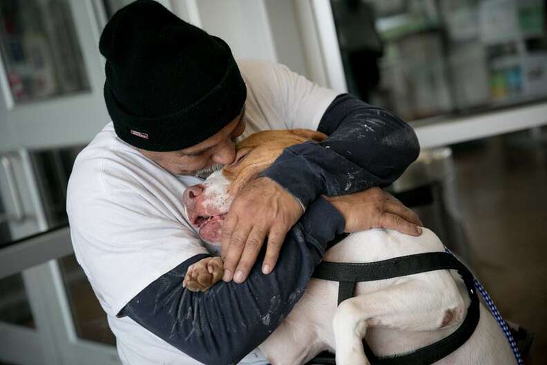 Man reuniting with his pit bull dog