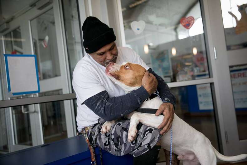 Man hugging pit bull dog