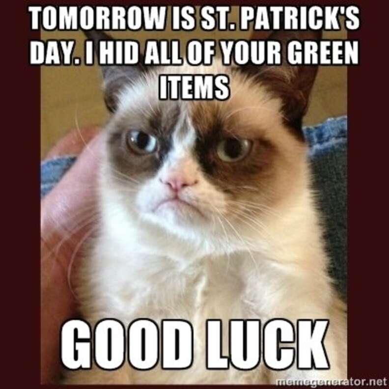 25 Funny St. Patrick's Day Memes 2023 — Happy St. Patrick's Day Meme