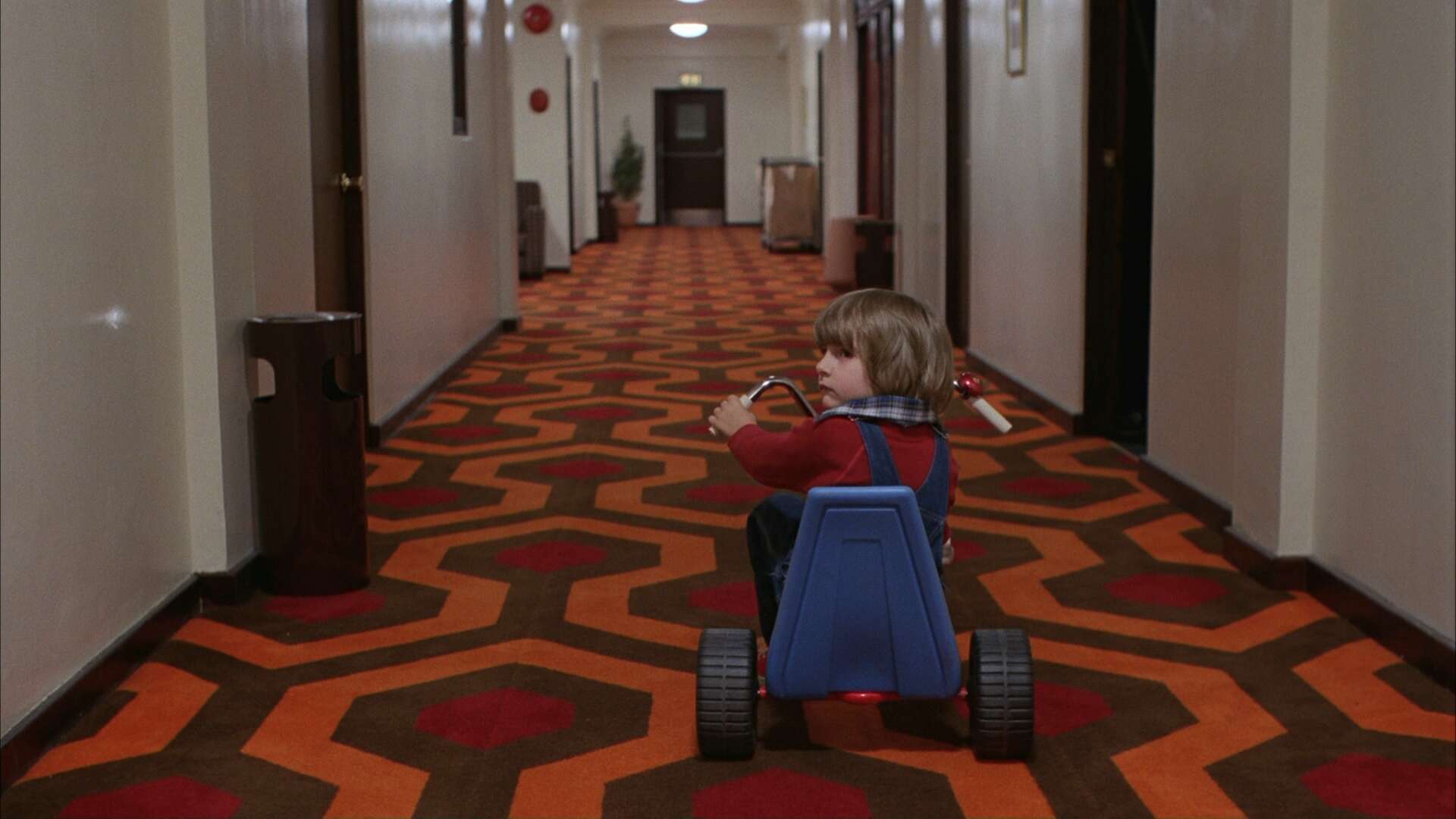 the shining