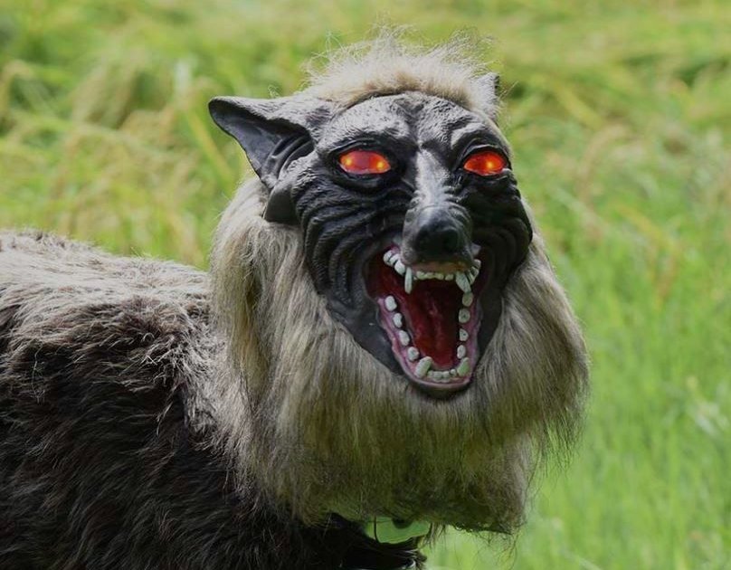 Farmers Replacing Scarecrows With Robotic Super Monster Wolves - Thrillist