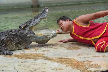 crocodile entertainment abuse thailand