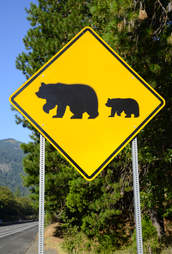 Bear crossing sign