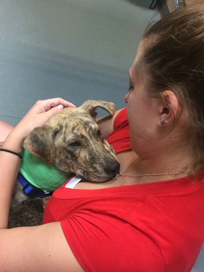 Woman holding dog after surgery