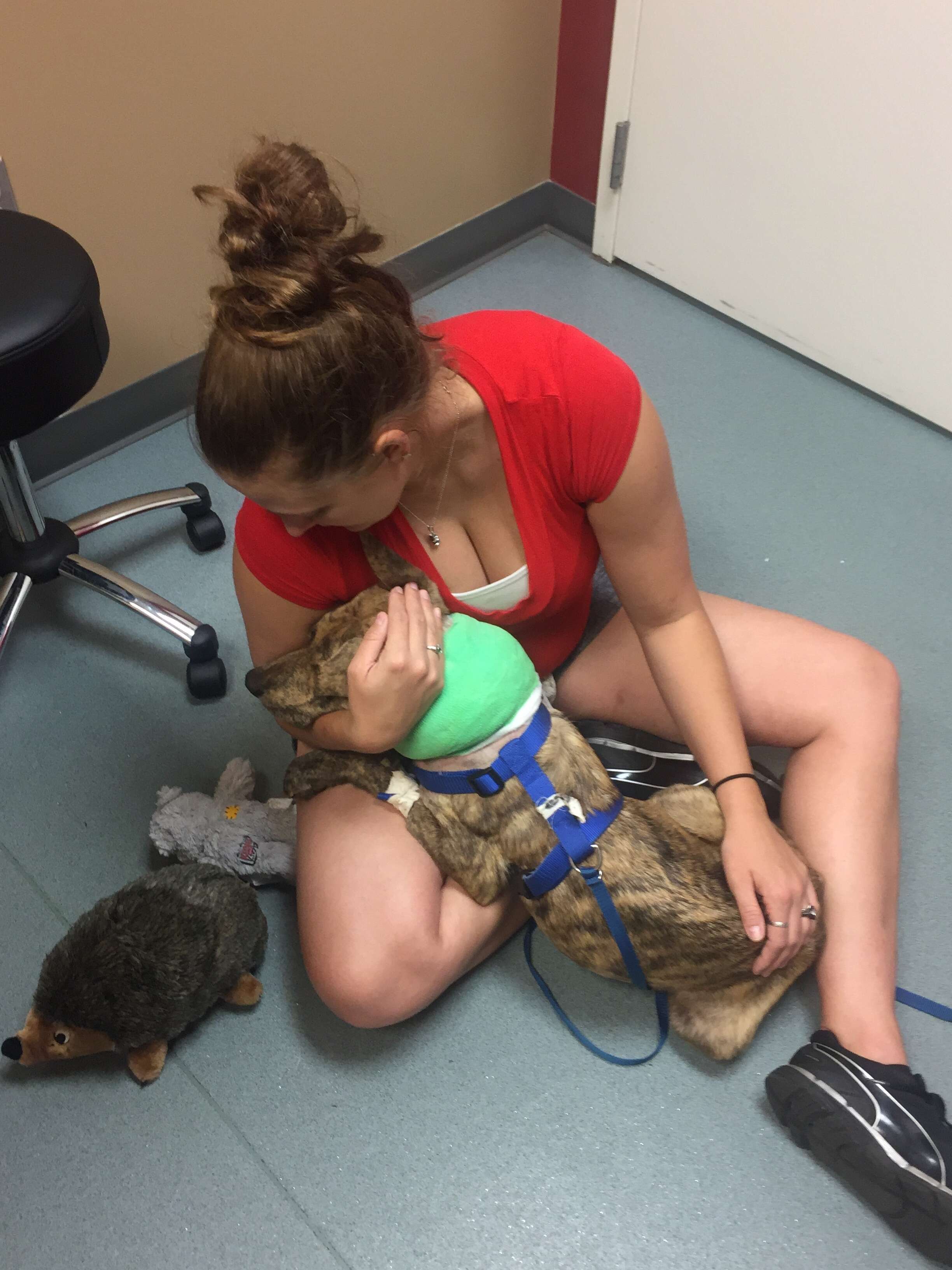 Woman holding dog on floor of vet clinic