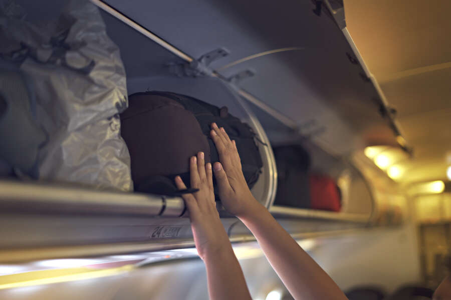Dog Dies After United Flight Attendant Forces it in Overhead Bin ...