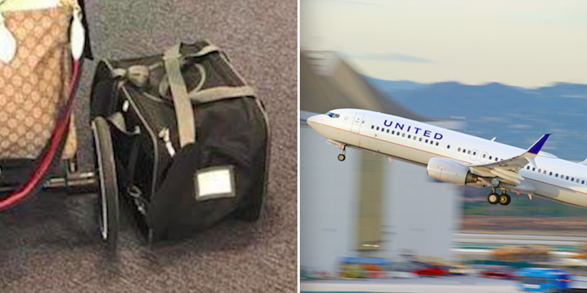 Dog Forced Into Overhead Compartment Dies On United Airlines Flight