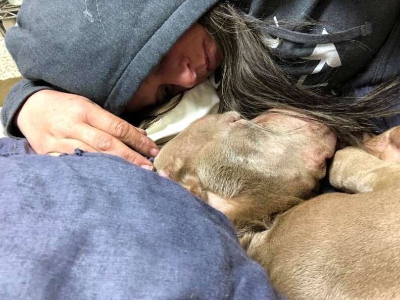 Woman Spends Night In Shelter So Dying Dog Won’t Be Alone