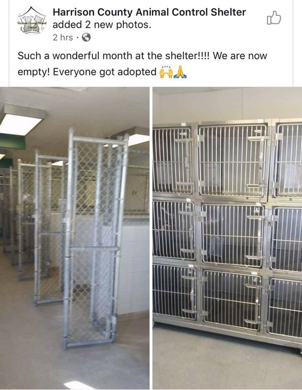 harrison county dog shelter