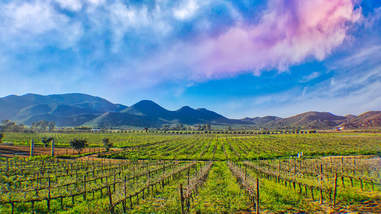 Valley de Guadalupe