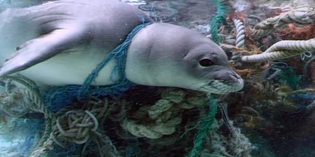 Abandoned fishing net underwater causes environmental damage Stock Photo